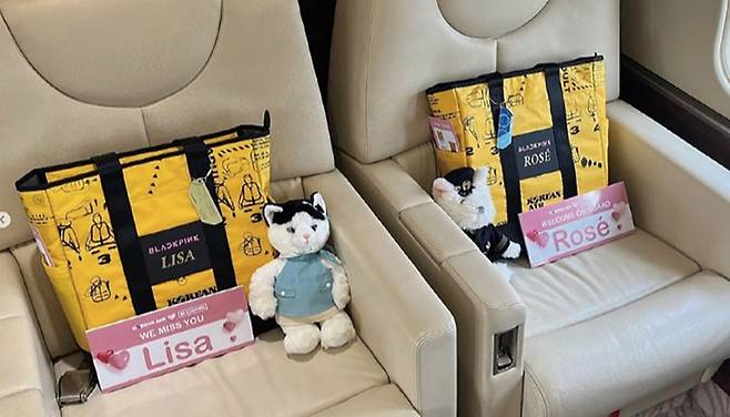 대한항공은 지난 6월 SNS를 통해 블랙핑크가 이용한 전세기 내부 모습을 공개했다. ⓒ대한항공 공식 인스타그램