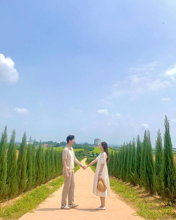 안성 팜랜드 블루애로우 가로수길 / @ddungle_tour