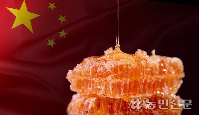 그래픽 : 금효진