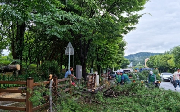 광주 북구청 관계자들이 지난 11일 오후 광주 북구 일곡3근린공원에서 폭우로 쓰러진 나무를 정리하고 있다. 연합뉴스