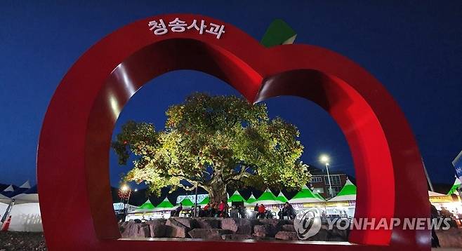 청송 사과 축제 포토존 [연합뉴스 자료 사진]