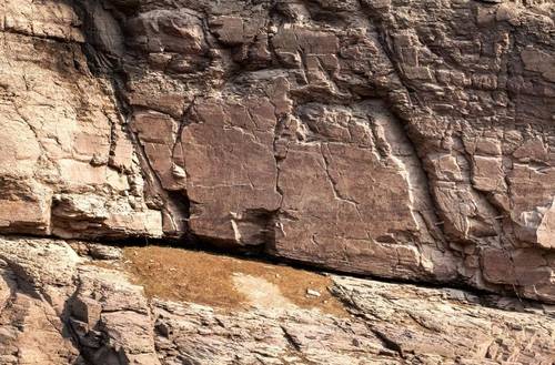국보 '울주 대곡리 반구대 암각화' 모습  [문화재청 제공. 재판매 및 DB 금지]
