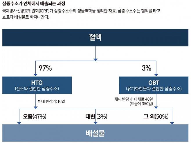 삼중수소가 인체에서 배출되는 과정. 캐나다원자력안전위원 제공