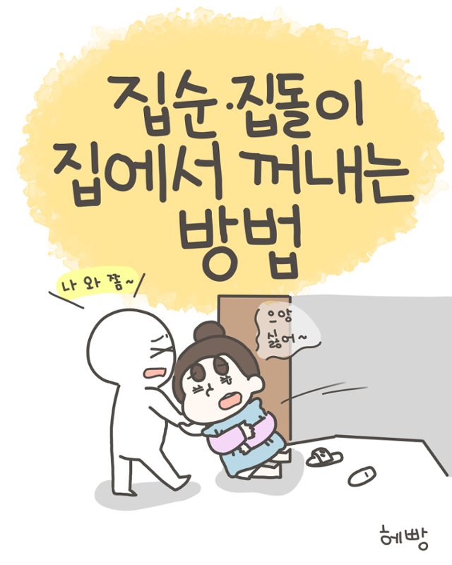 헤빵 작가 인스타툰. 헤빵 작가 제공