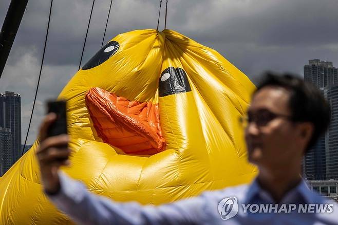 '찜통에 녹은 러버덕'…홍콩 빅토리아 하버 초대형 오리 프로젝트 [AFP=연합뉴스]