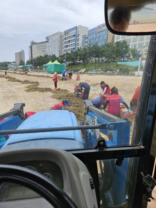 ▲보령시 청천저수지 등이 수문을 열자 수초와 함께 밀려 온 쓰레기 더미를 대천해수욕장 경영과 직원들과 해사모 회원 등이 나와 수거 후 트렉터에 싣고 있다 ⓒ독자제공