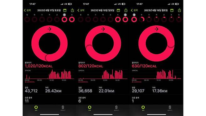 순서대로 사고 이틀 전(왼쪽), 숨지기 전날(가운데), 사고 당일(오른쪽)