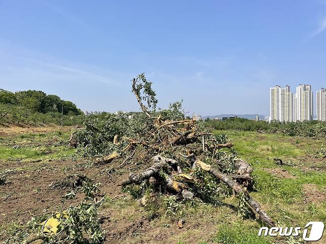 충주 과수화상병 발생 농가 공적 방제 모습.(자료사진)/뉴스1