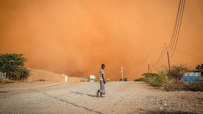 소말리아의 가뭄. 소말리아에선 5회 연속 우기에 비가 오지 않고 있다