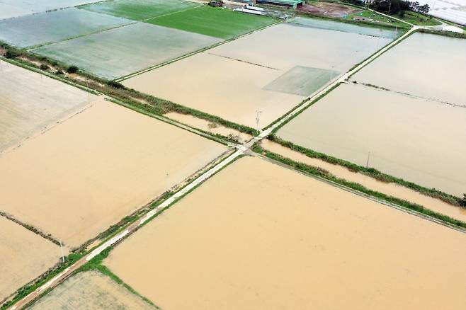 Farmlands in South Jeolla Province are flooded Monday, following bouts of torrential rain over the weekend. (Yonhap)