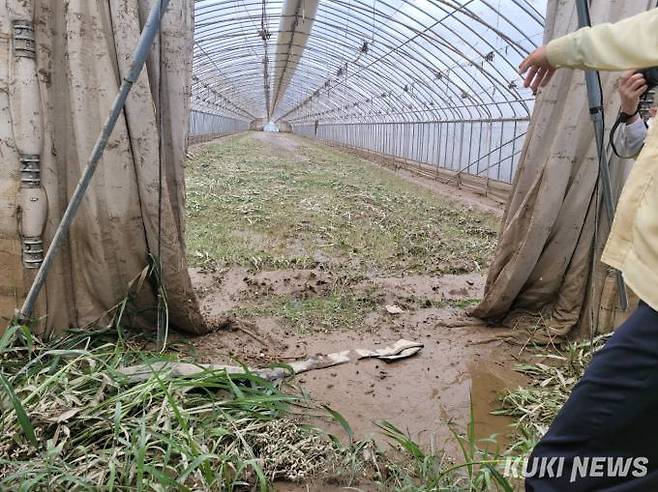 17일 충남 청양의 한 비닐하우스가 집중 호우로 피해를 입었다. 농작물의 부유물이 떠다니는 모습.&nbsp; &nbsp;사진=안소현 기자&nbsp;&nbsp;
