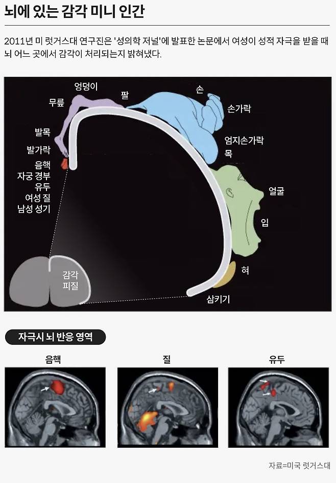 그래픽=손민균