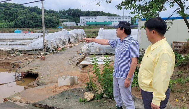 이정표 충북농협 본부장(오른쪽)이 박광순 오송농협 조합장과 피해현장을 살피고 있다.