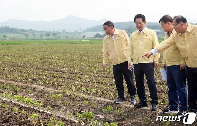 김영록 전라남도지사가 19일 호우로 피해를 입은 영광군 군남면 양덕리 농작물(논콩) 침수현장을 방문해 현황 점검 및 농업인들을 위로·격려하고 관계자들에게 신속한 피해복구를 당부하고 있다.(전남도 제공) 2023.7.19/뉴스1