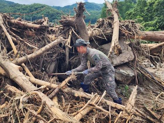 지난 17일 육군 제50보병사단 장병들이 119대원들과 함께 집중호우로 실종자가 발생한 경북 예천군 은풍면 벌방리에서 합동 수색작업을 펼치고있다. 뉴스1