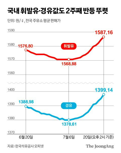 김영희 디자이너