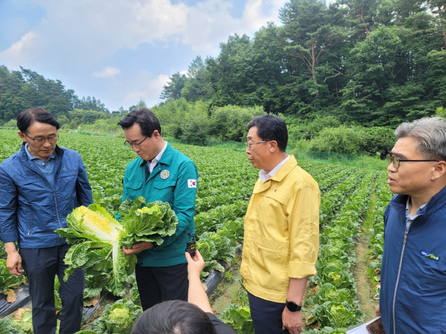 ▲ 정황근 농림축산식품부장관은 20일 오후 평창군 대관령면 차항리 고랭지 여름배추 밭을 방문, 배추 생육상태를 확인하고 배추 생산 농업인들을 격려했다.