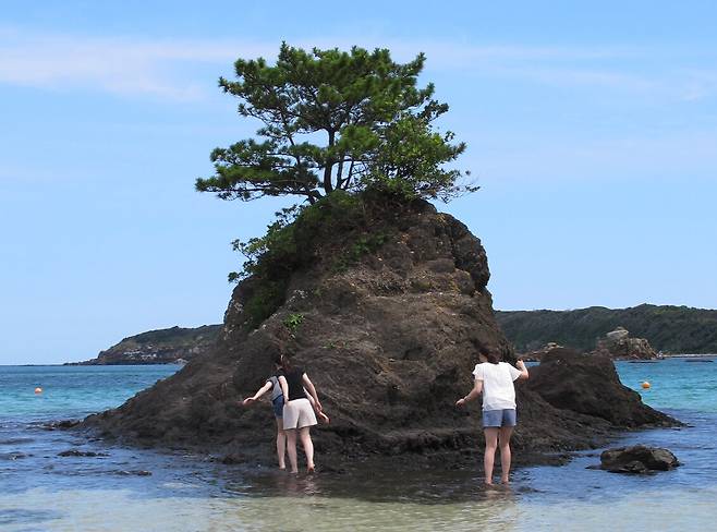 대마도 미우다 해변