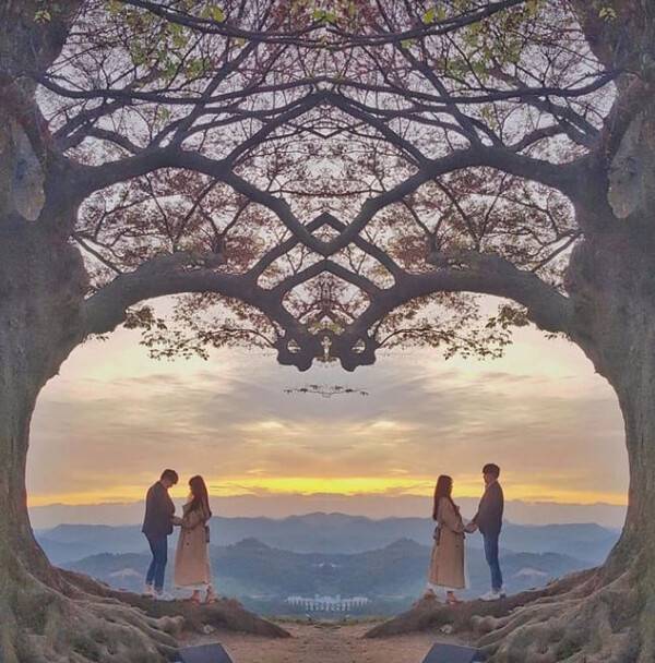 온라인 커뮤니티