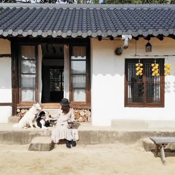 온라인 커뮤니티