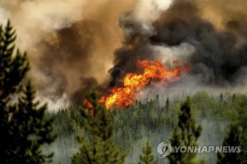 브리티시 컬럼비아주 산불 현장 [AP=연합뉴스]