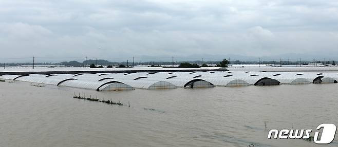 전북 익산시 용안면 한 시설하우스 일대가 폭우로 인해 물에 잠겨 있다. 2023.7.16/뉴스1 ⓒ News1 유경석 기자