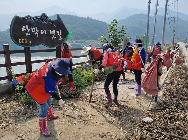 용인시자원봉사센터 봉사단이 지난21일 충북 괴산 칠성면 외사리 일대 하천변을 정리하고 있다.ⓒ용인시 제공