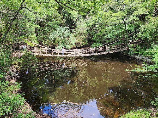 정글 속 연못위 다리 가즈라바시
