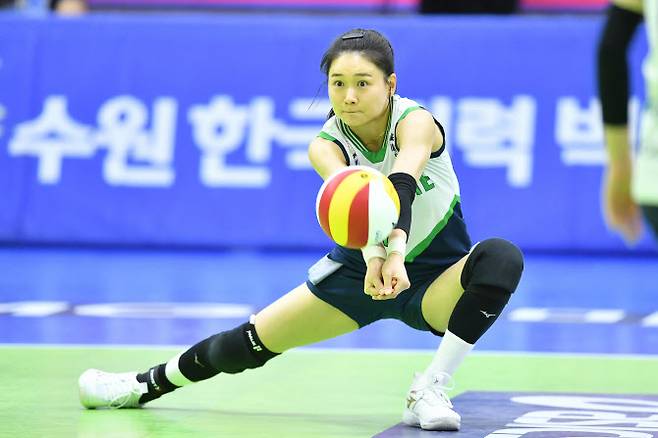 현대건설 리베로 김연견. 사진=KOVO