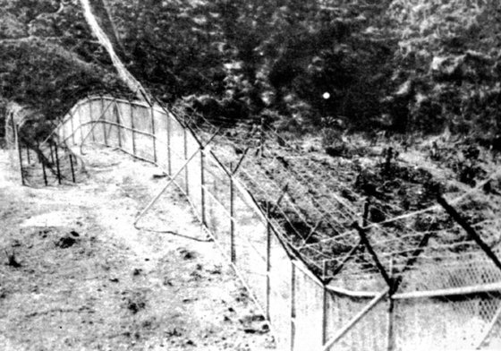 1967년 처음으로 설치된 철책선의 모습. 국방홍보원