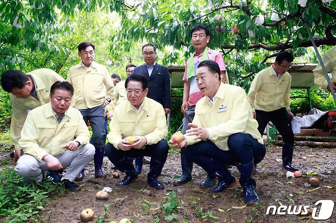 김영록 전남지사와 구복규 화순군수가 24일 화순읍 화림농원을 찾아 집중호우에 따른 복숭아 낙과 피해 현황을 살펴보고 있다. ⓒ News1