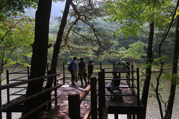 26일 충북 보은군 속리산 등산로 부근에서 산사태 징후가 포착됐다는 신고가 들어왔다. 사진은 속리산 세조길 모습. [사진=뉴시스]