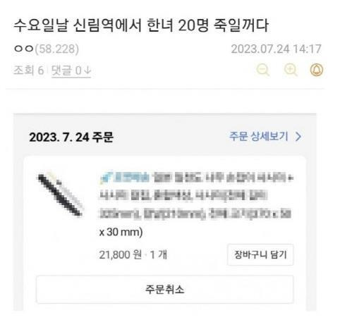 '신림역 살인예고' 게시물 [디시인사이드 캡처.재판매 및 DB 금지]