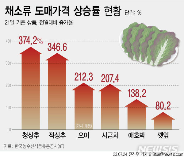 [서울=뉴시스]  한국농수산식품유통공사(aT) 농산물유통정보에 따르면 21일 기준 상품 적상추 4kg은 전달보다 346.6% 오른 8만3520원, 시금치는 207.4% 오른 5만5660원이다. 최근 집중호우 여파로 잎채소를 포함한 채솟값 상승을 이끌고 있다.