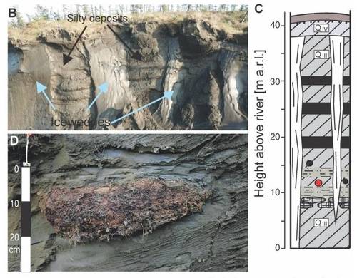 동토층의 모습. 연합뉴스