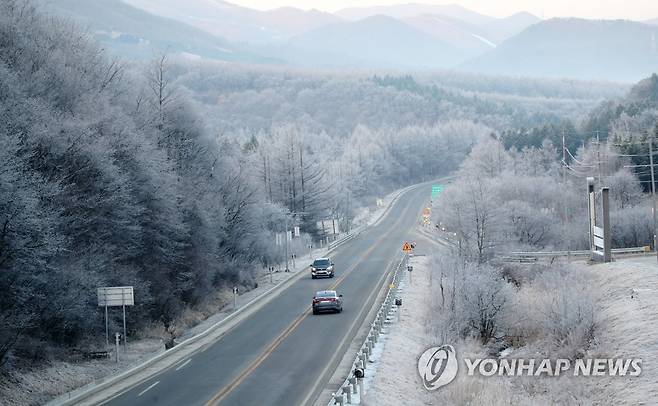 상고대 활짝 핀 대관령 [연합뉴스 자료사진]