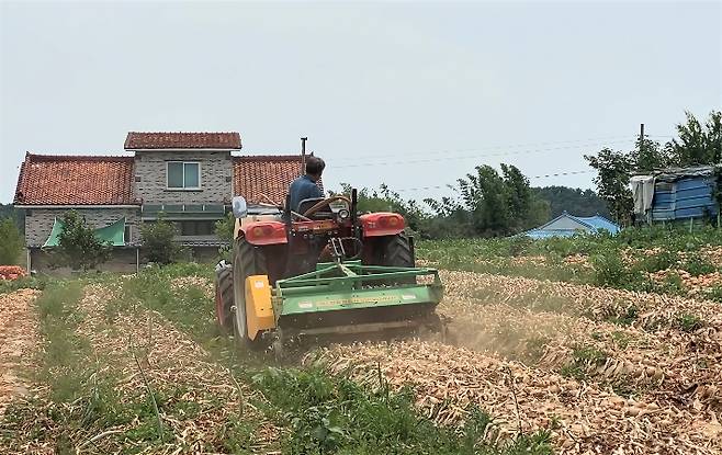 전라남도 제공