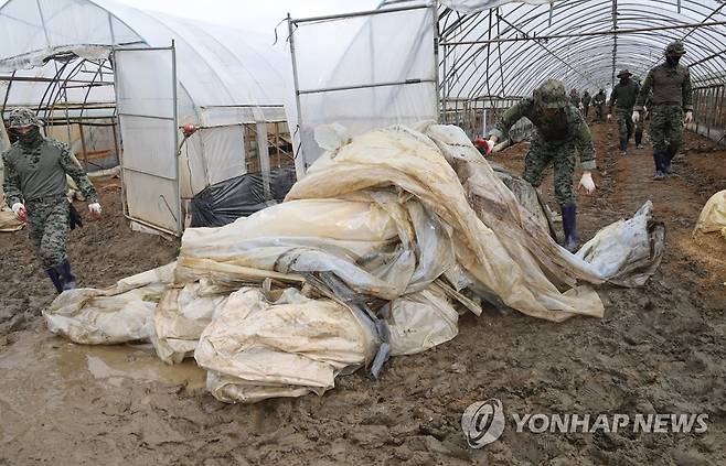 작전명, '수해복구' (청주=연합뉴스) 한상균 기자 = 24일 충북 청주시 한 수해 농가 비닐하우스에서 군 장병들이 복구작업을 하고 있다. 2023.7.24 xyz@yna.co.kr