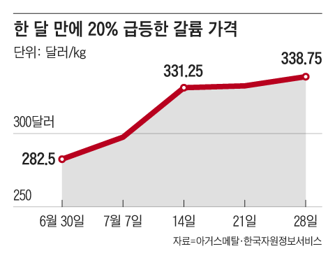 그래픽=김현국