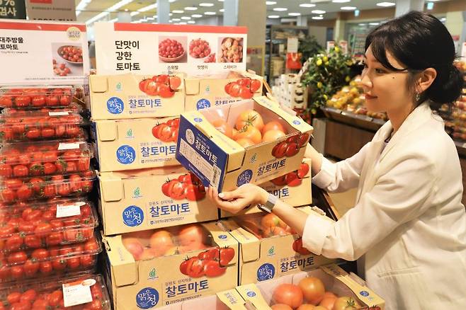 롯데마트 서울역점에서 고객이 강원 찰토마토 상품을 구매하고 있다. 롯데마트 제공