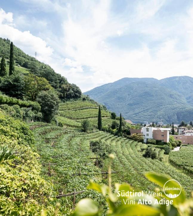 Coli di Bolzano. 알토아디제와인협회