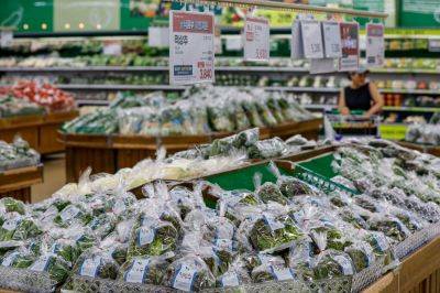 최근 집중호우에 재배지가 물에 잠긴데 이어 폭염까지 이어지며 채소가격이 상승하고 있는 2일 서울 서초구 하나로마트양재점을 찾은 고객들이 장을 보고 있다. 사진=강진형 기자aymsdream@