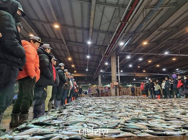 지난 2월 28일 새벽 부산공동어시장 상인들이 고등어 경매를 위해 모여들고 있다. ⓒ데일리안 장정욱 기자