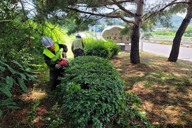 다산중앙공원을 비롯한 관내 791개소 도시공원 및 녹지에 2회차 녹지관리 작업을 실시하고 있다.ⓒ남양주시