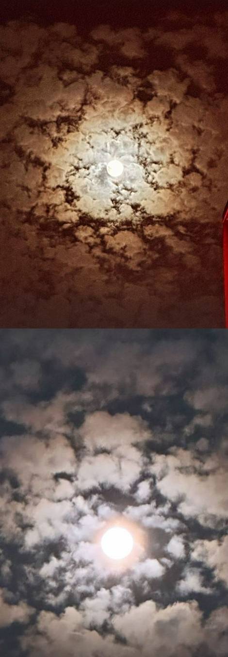 배우 안보현의 SNS가 다시 주목받고 있다. 사진=안보현 SNS