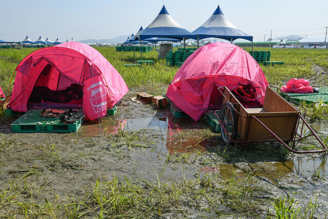 전북 부안군 새만금 세계스카우트 잼버리 대회장에서 물에 잠긴 땅 위에 텐트가 설치돼 있다. 세계스카우트연맹 제공