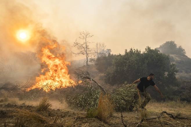 대형 산불이 발생한 그리스 남동부 로도스섬 켄나디 마을에서 지난달 25일(현지시간) 한 주민이 불 붙은 올리브 나무를 끌고 이동하고 있다. AP연합뉴스