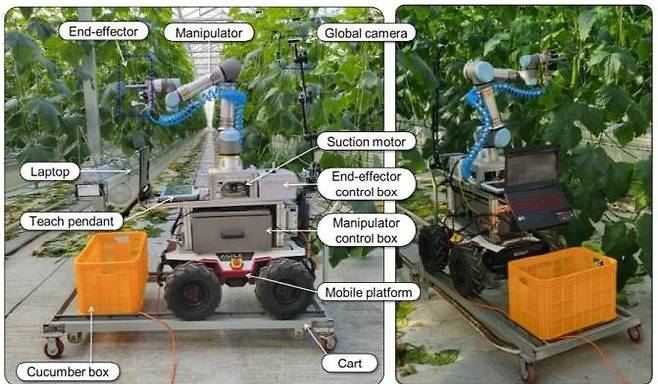 손형일 전남대학교 융합바이오 시스템기계공학과 교수팀이 만든 수확 로봇 / 출처=전남대학교
