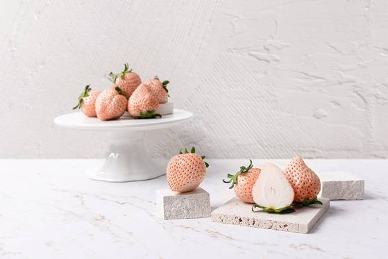 Snowberry, a domestically-developed strawberry variety [K-BERRY]