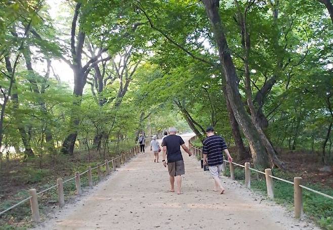 하루에 약 2400보만 걸어도 심혈관 질환으로 인한 사망 위험이 줄어든다는 연구 결과가 발표됐다.[사진출처=아시아경제 DB]